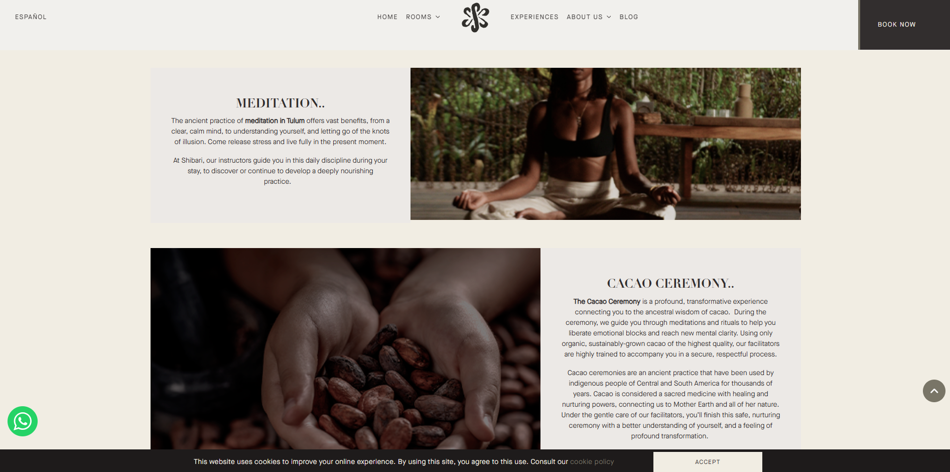 Proyecto administrado en Umbraco con bloques visuales y contenido editorial